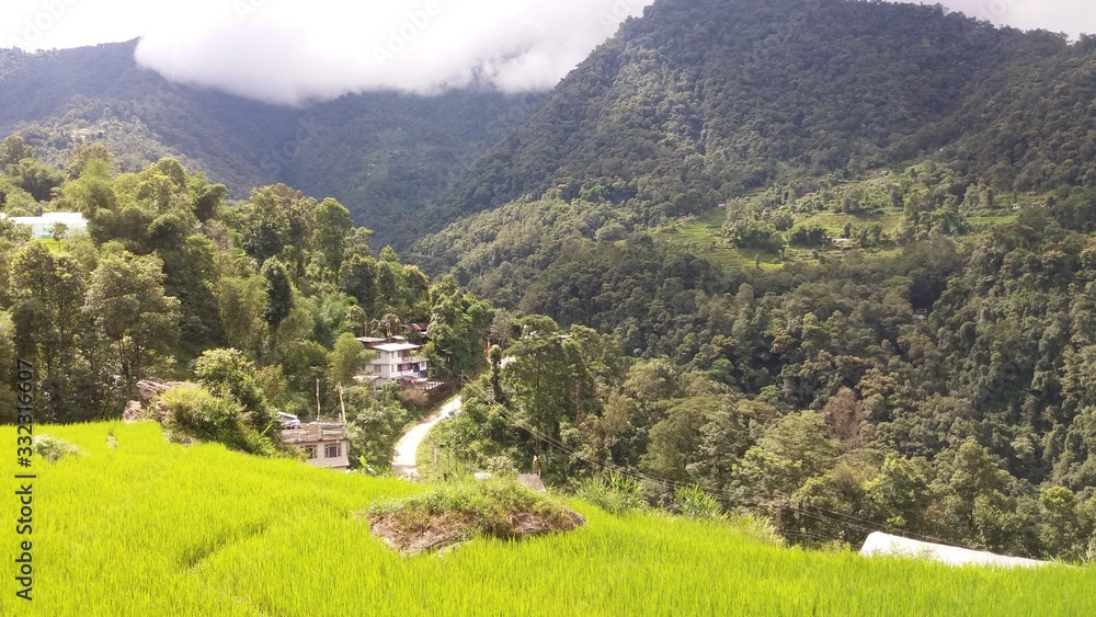 View of village landscape with scenic rice fields on hill terrace, organic farming
