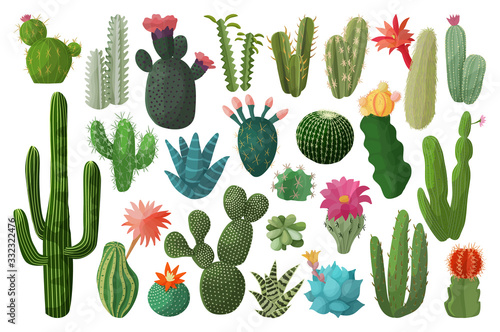 Cactus isolated cartoon set icon. Vector illustration mexican cacti on white background. Vector cartoon set icon cactus with flower. photo