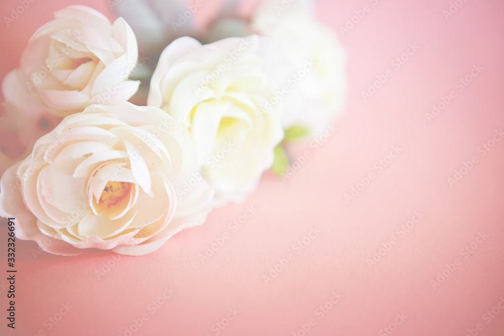 lovely rose flower on a vintage retro pastel pink background , sweet and romatic moment