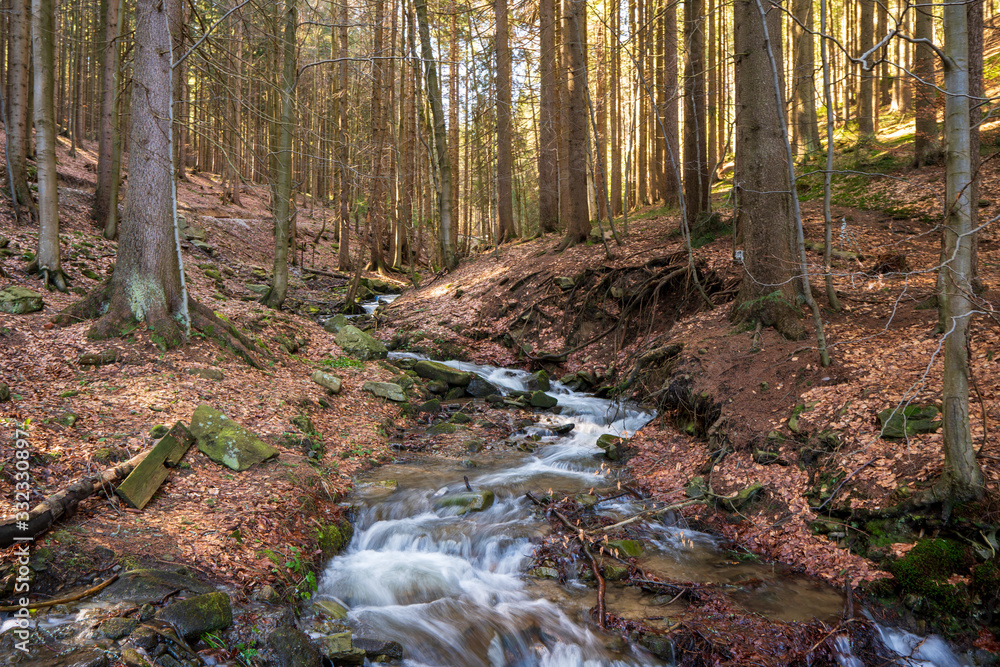 brook during snow melting in spring and tusk fallen leaves from autumn, Czech brook during snow melting in spring and tusk fallen leaves from autumn, Czech