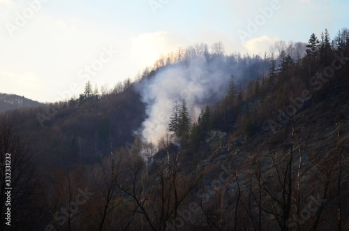 Raging pine tree fire across the hill