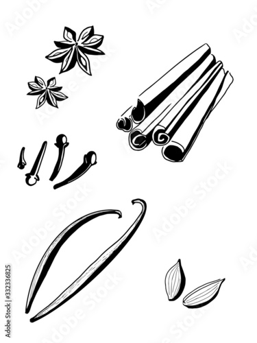 Vector illustration of spices set with citrus, cinnamon, cardamom and star anise