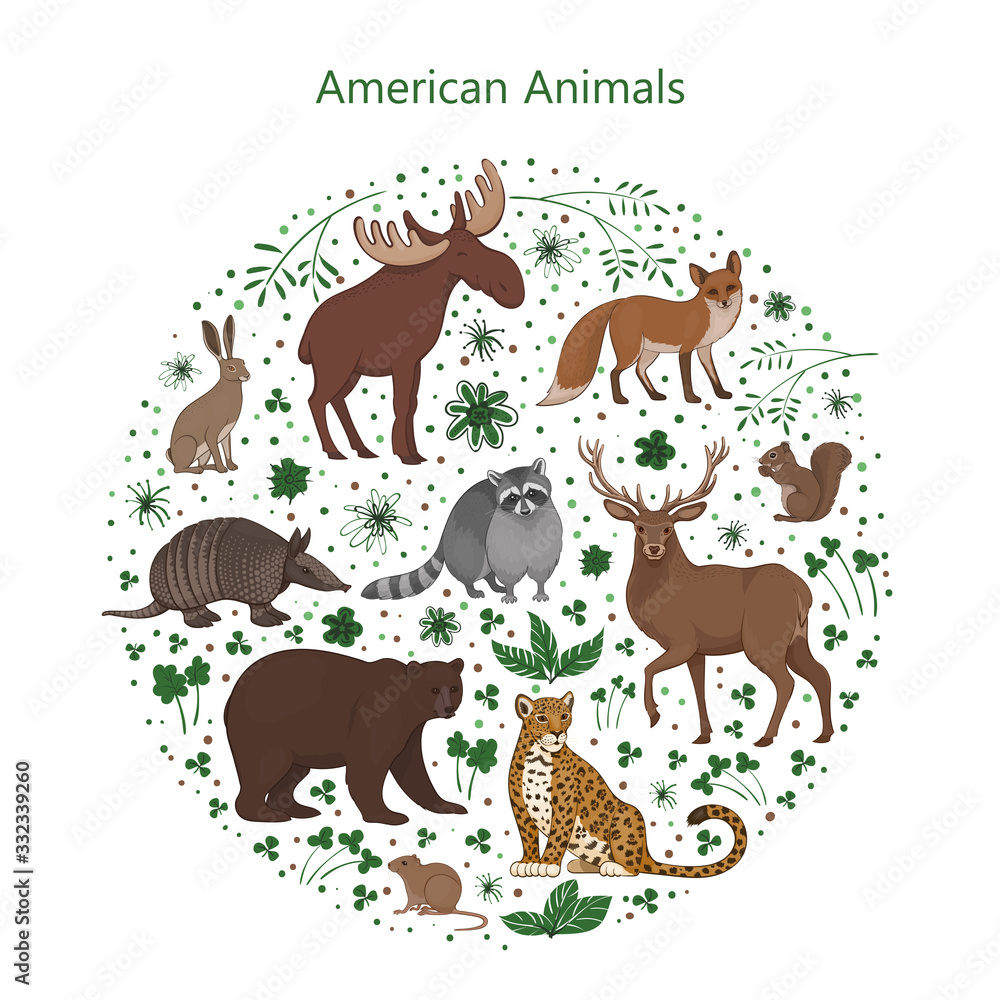 Vector set of cartoon cute American animals with leaves flowers and spots in a circle. Raccoon, fox, jaguar, squirrel, elk bear armadillo hare deer vole