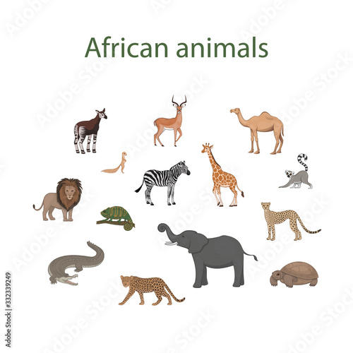 Vector set of cartoon cute African animals. Okapi  impala  camel  xerus  lion  chameleon  zebra  giraffe  lemur  cheetah  crocodile  leopard  elephant  tortoise