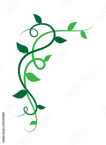 Elemento floreale decorativo verde, ramo con foglie di edera