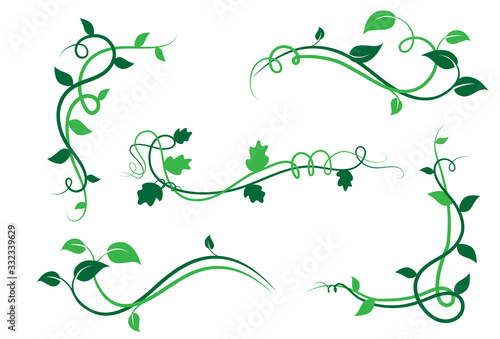 Collezione di elementi floreali decorativi, ramo con foglie di edera, liane