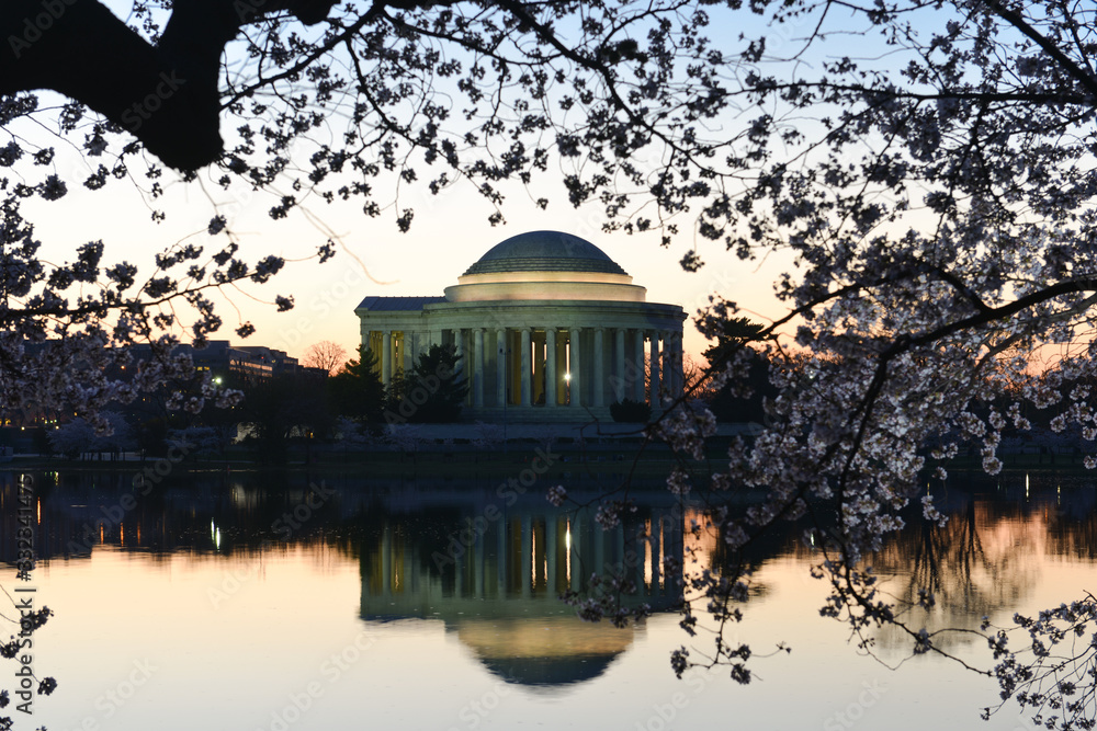 Obraz premium Jefferson Memorial and cherry blossoms during cherry blossom festival - Washington DC, United States of America
