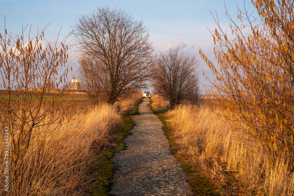 Obraz premium off-road car driving along a narrow road in the fields at sunset
