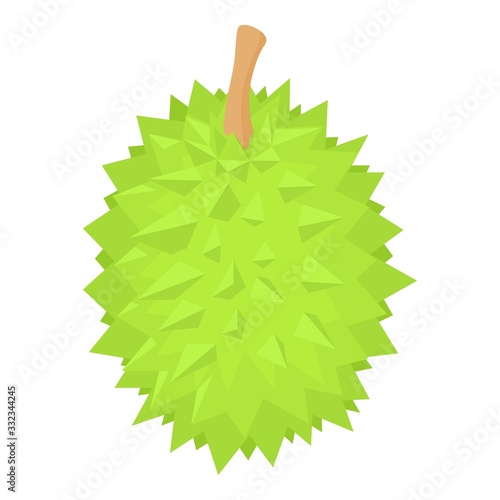 Tropical durian fruit icon. Isometric of tropical durian fruit vector icon for web design isolated on white background