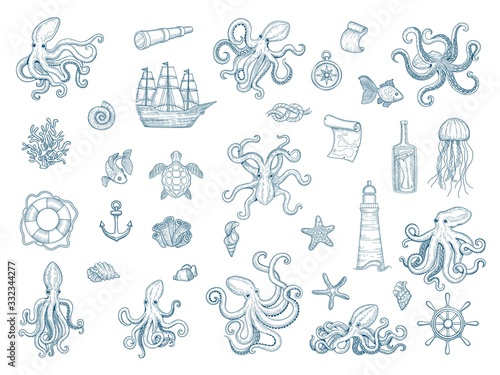 Marine illustrations. Octopus nautical set wild squid shells monster kraken vector hand drawn collection. Octopus monster, seafood and jellyfish illustration
