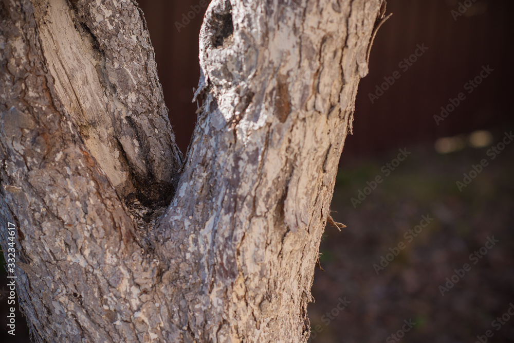 Close up details wood corrosion and coatings Close up details wood corrosion and coatings
