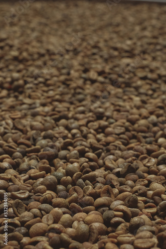 Coffee beans texture, Coffee beans have not been roasted, Dry seeds.