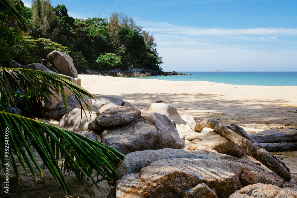 Big Rocks and Palm Leaves on Nai Thon Beach in Phuket, Thailand