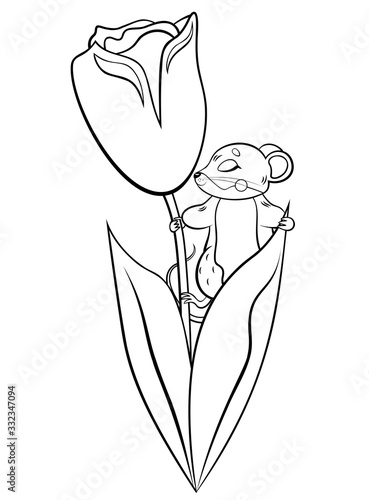 Coloring page outline of cute cartoon forest vole or mouse with flower tulip. Vector image isolated on white background. Coloring book of forest wild animals for kids