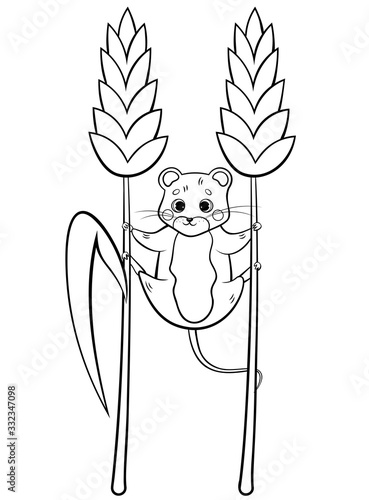 Coloring page outline of cute cartoon forest vole or mouse hanging on wheat. Vector image isolated on white background. Coloring book of forest wild animals for kids