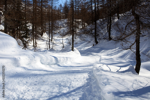 Devero Park ( Verbano-Cusio-Ossola ), Italy - January 15, 2017: The road to Crampiolo Village at Alpe Devero Park, Ossola Valley, VCO, Piedmont, Italy