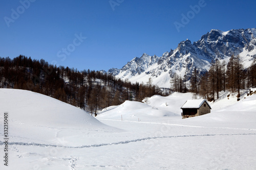 Fototapeta Naklejka Na Ścianę i Meble -  Devero Park ( Verbano-Cusio-Ossola ), Italy - January 15, 2017: Alpe Devero Park landscape, Ossola Valley, VCO, Piedmont, Italy