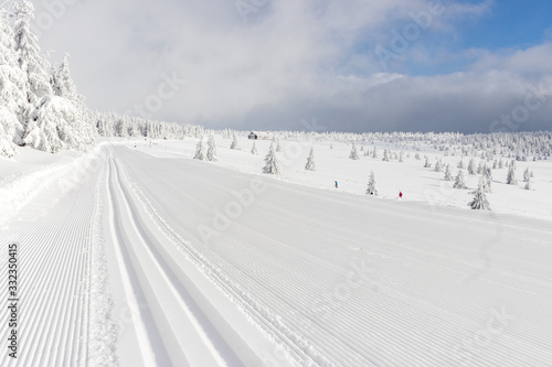 Fotografia Groomed track for cross country skiing mountains blue sky