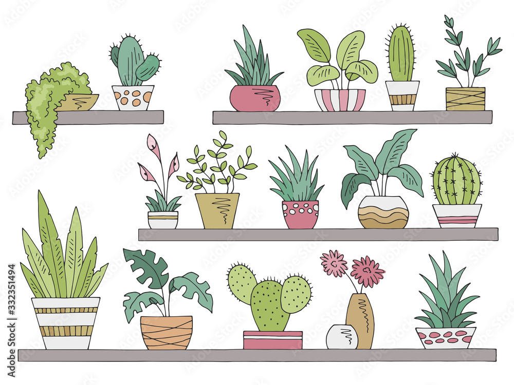 gidsel Parcel indre Shelves set graphic color isolated plant pot sketch illustration vector  Stock Vector | Adobe Stock