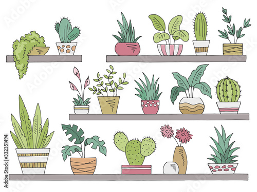 Shelves set graphic color isolated plant pot sketch illustration vector