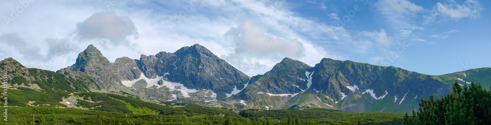Fototapeta premium Mountain range against the sky and forest on foreground