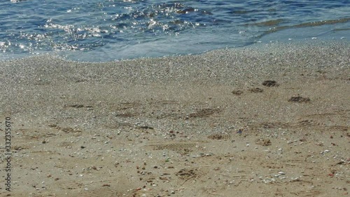 Orilla