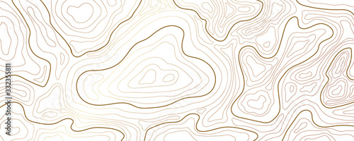 Luxury gold abstract topographic map background with golden lines  texture, 17:9 wallpaper design for fabric , packaging , web, geographic grid map vector illustration.