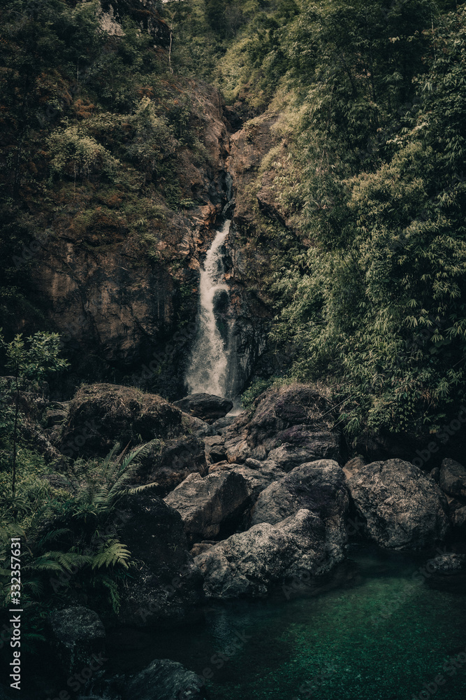 Obraz premium waterfall in deep forest