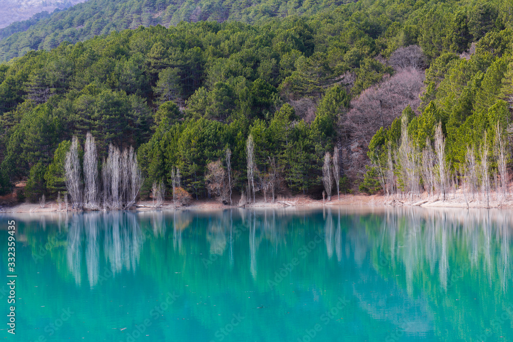 Forest lake shore view. Spring forest lake shore panorama Forest lake shore view. Spring forest lake shore panorama