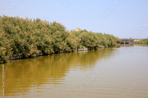 Po river  FE    Italy - April 30  2017  A canal in the Po river  Delta Regional Park  Emilia Romagna  Italy