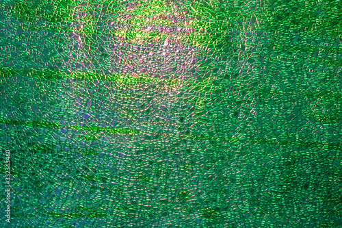 abstract green shimmering textured background