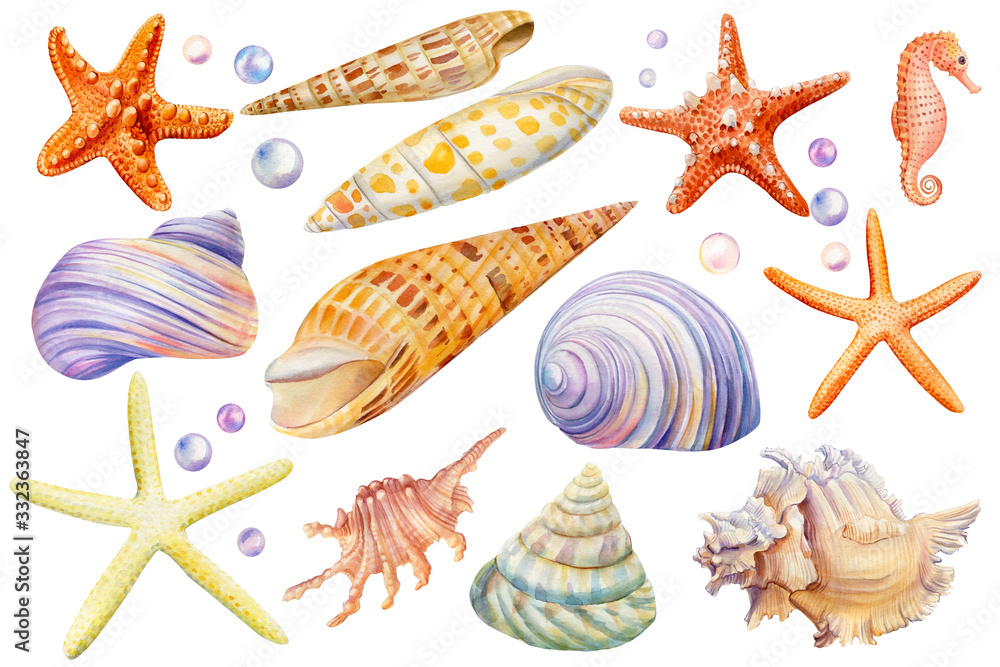 Watercolor starfish with shiny shell. Hand painting clipart underwater life  objects on a white isolated background. For designers, decoration Stock  Photo - Alamy
