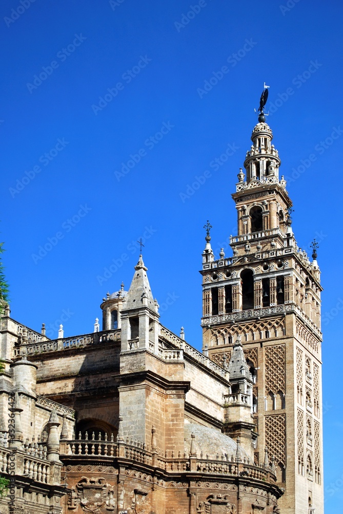 View of the Cathedral and Giralda Tower, Seville, Spain.