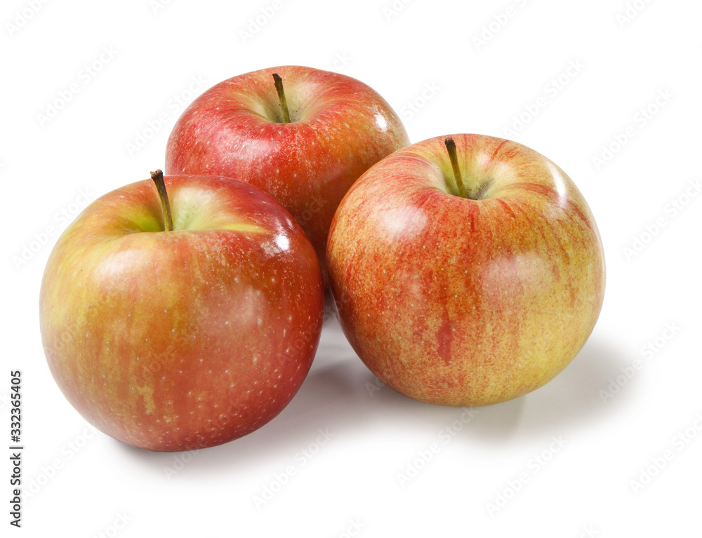 Imperatore apple on white backgrounds Mela Imperatore Imperatore apple on white backgrounds Mela Imperatore