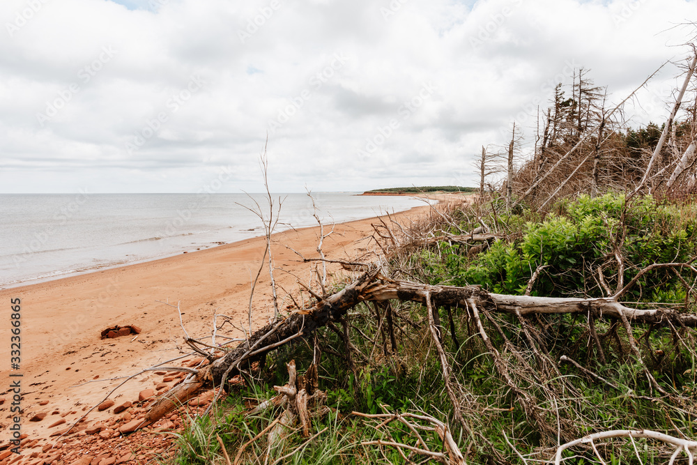 Red sand beach at Prince Edward Island, Canada Red sand beach at Prince Edward Island, Canada