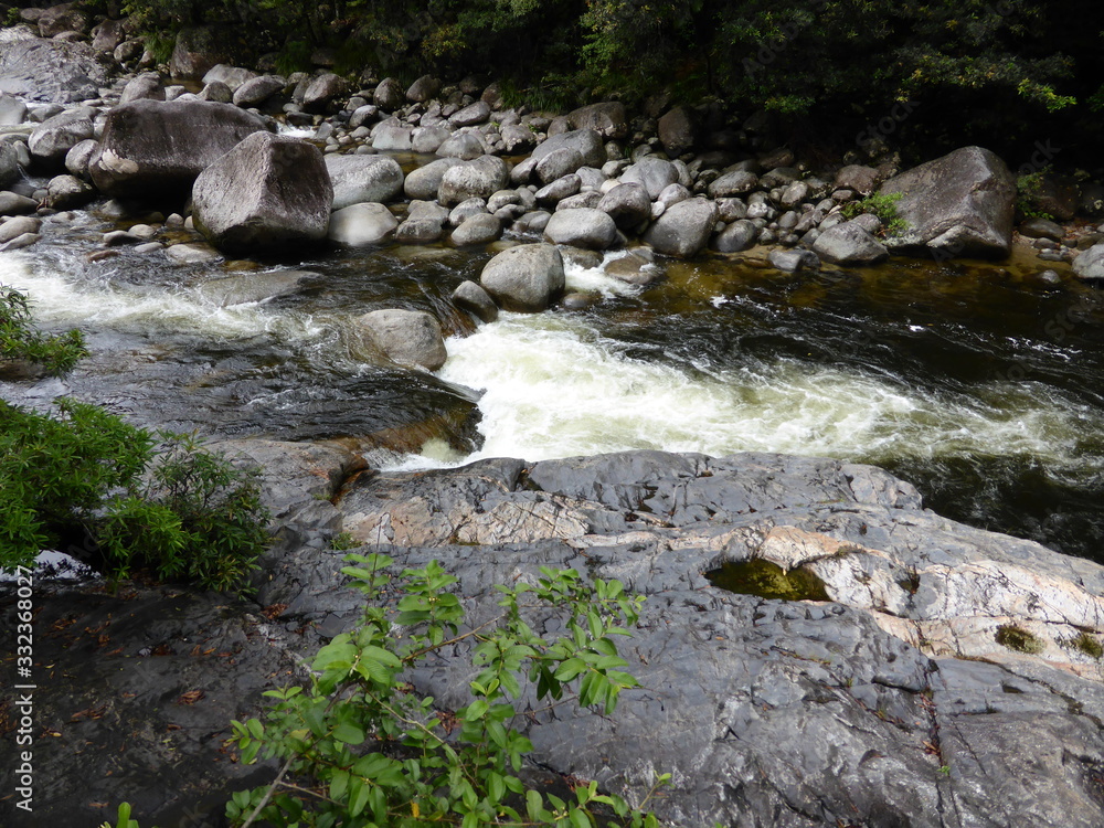 stream in rainforest stream in rainforest