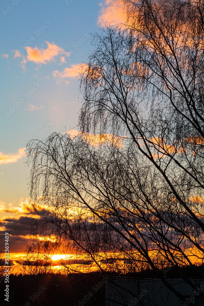 Evening sky Evening sky
