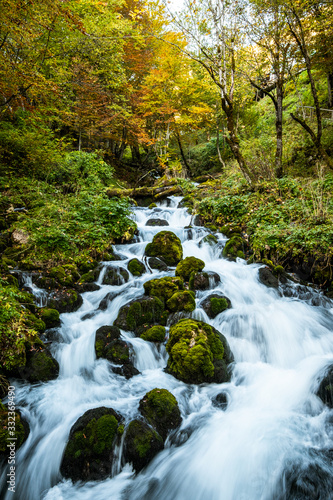 Fototapeta Naklejka Na Ścianę i Meble -  Durmitor National Park in Montenegro during fall season