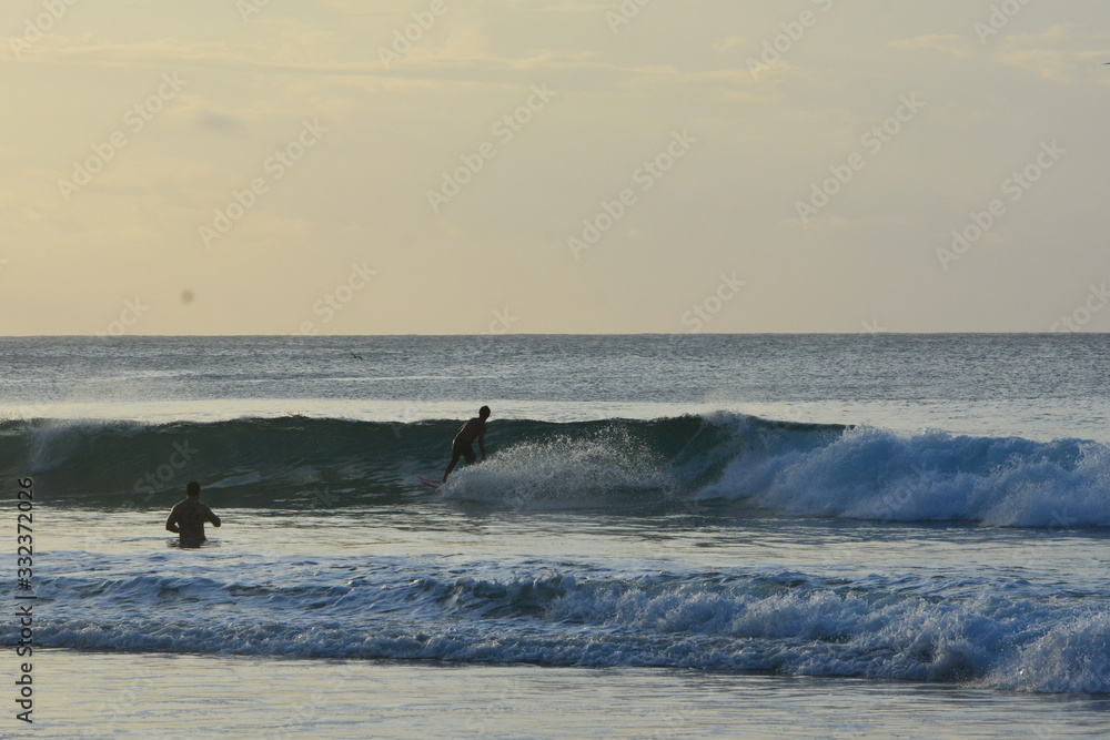Fototapeta premium f noronha