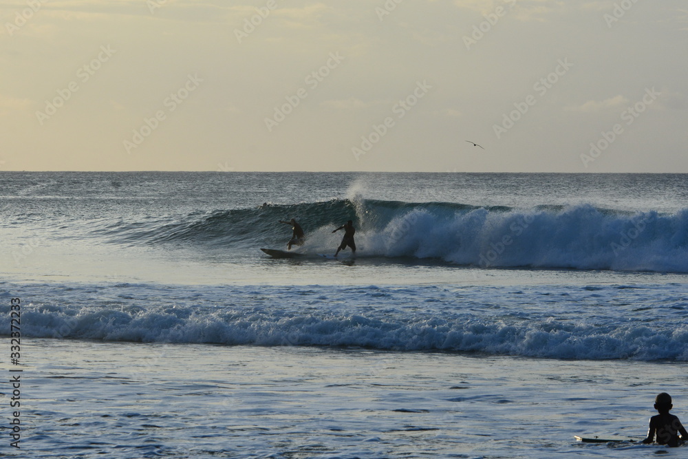 Obraz premium f noronha 