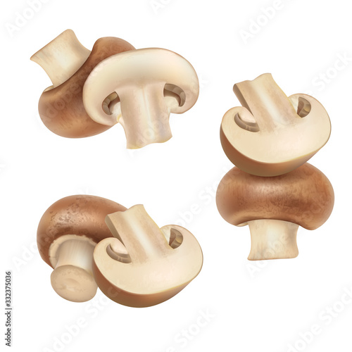 Group of champignon mushrooms set