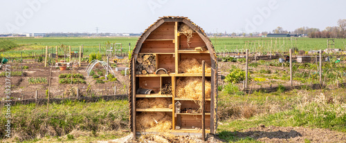 An insect hotel in a botanical garden and a faraway horizon photo