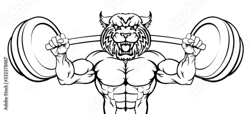 A wildcat animal body builder sports mascot weight lifting a barbell