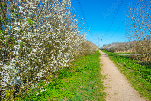 Transmission tower over a path in a field below a blue sky in spring