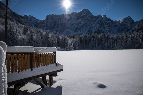 Wallpaper Mural panoramic view of a snowy valley and a fir forest on a beautiful sunny day with blue skies Torontodigital.ca