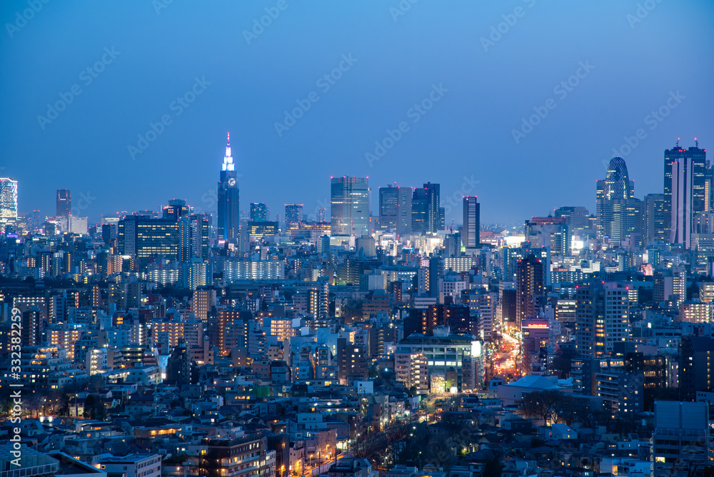 Fototapeta premium tokyo skyline at night