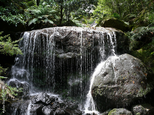 waterfall in the forest photo