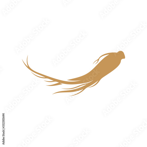 Ginseng logo design vector template. Ginseng root on white background © shuttersport