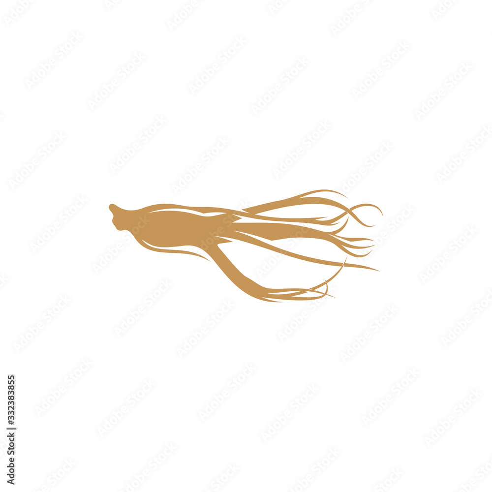 Ginseng logo design vector template. Ginseng root on white background