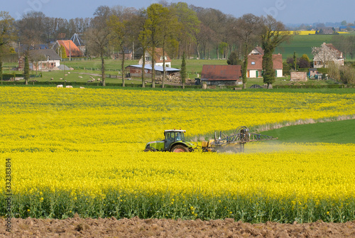 Traitement insecticide contre le charancon du colza, village en arrière plan photo